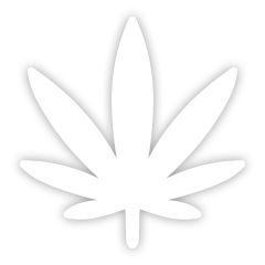 9.png.4ad40780798150bf7a68ea189f7de8a9.png