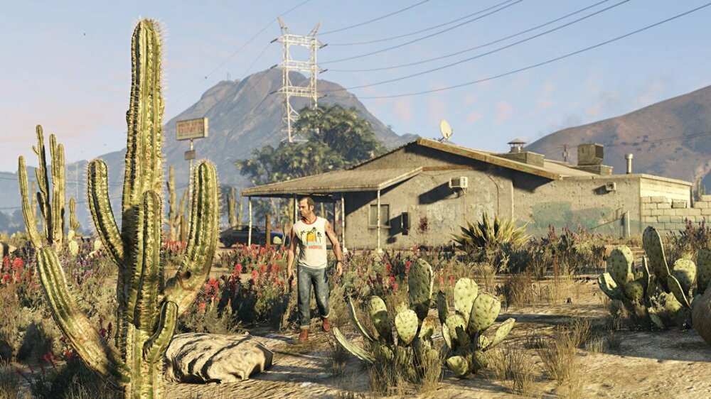 Cactuses_GTA_5_Trevor_Philips_522362_1280x720.thumb.jpg.c0e7913f2f5b462be7b53bcb0dbf7f47.jpg