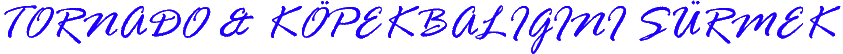 image.png.7d1cec9e13d19d53c3b45ce5a1acc191.png