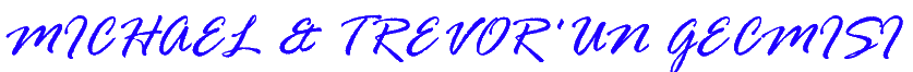 image.png.b039c7339aa2457b8f8fbeb48b1a7ae1.png