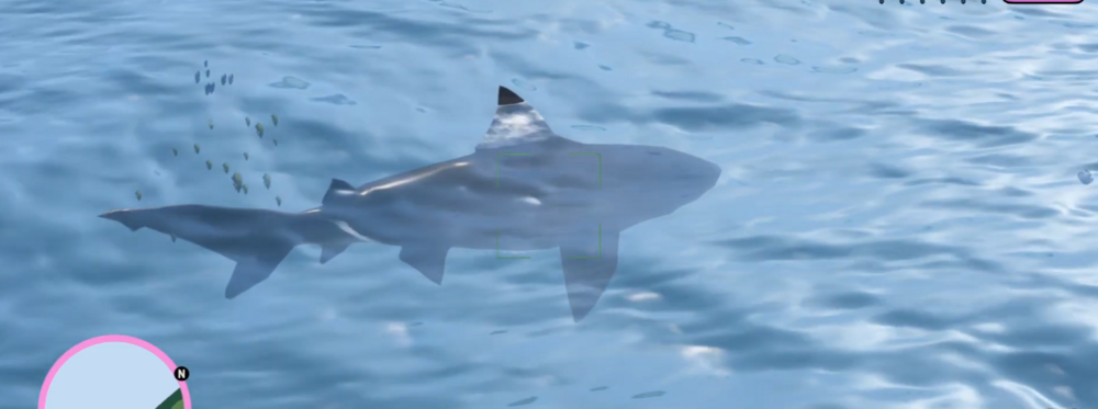 image.thumb.png.030bd9350ef1ae04313a2c589cb8b4ca.png