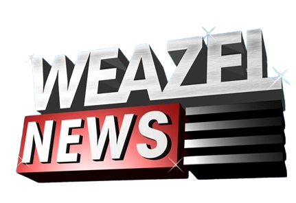 Weazel News Logosu Vice Online