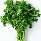 freshparsley