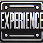 Experience