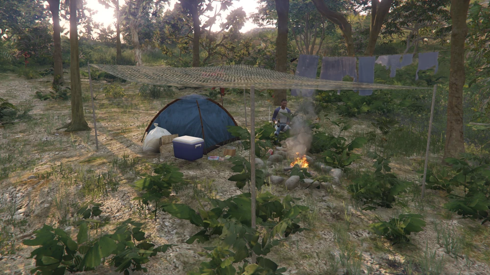 camping.webp