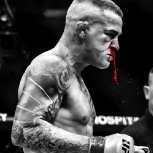 deadfoolish