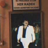 BerdushXL